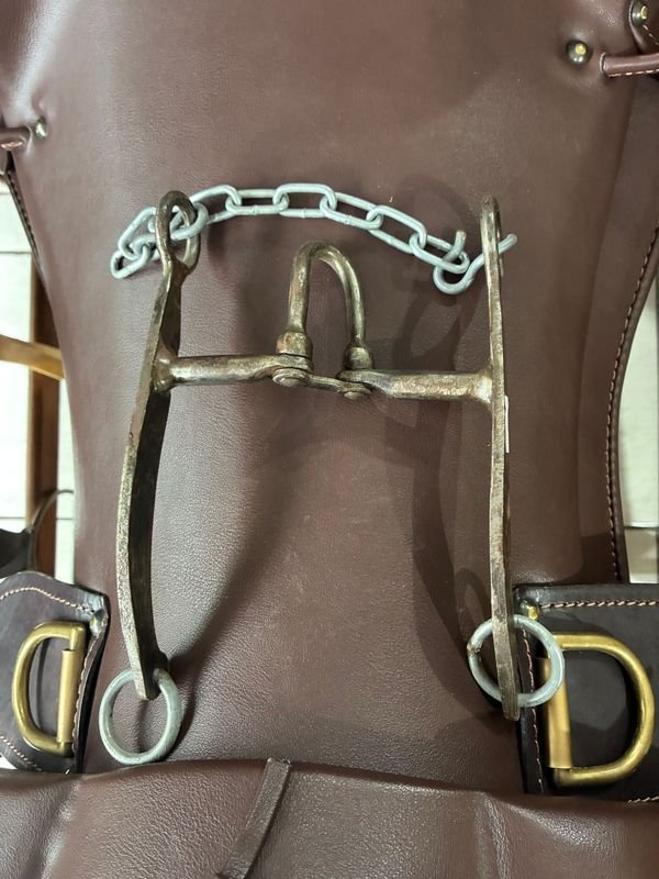 Item 848950 - Image 1