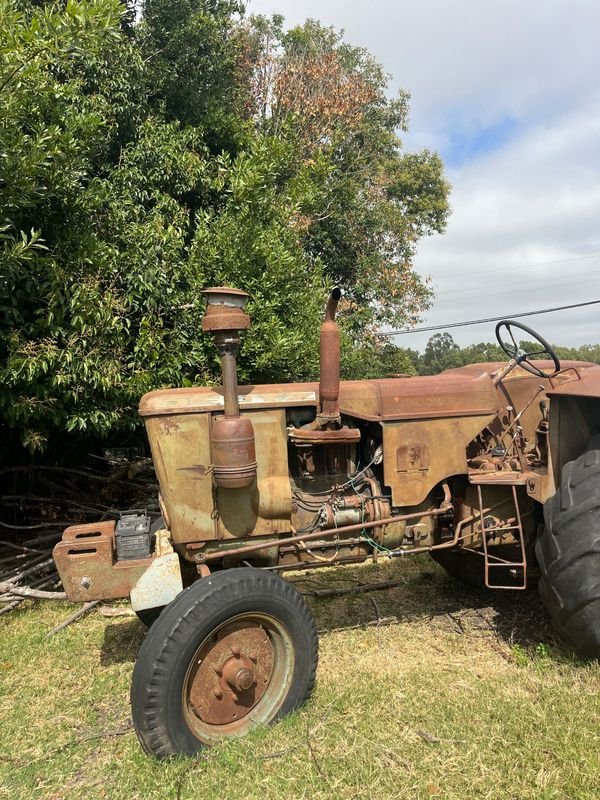 Item 864131 - Image 14