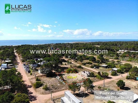 Item 31721 - Image 0