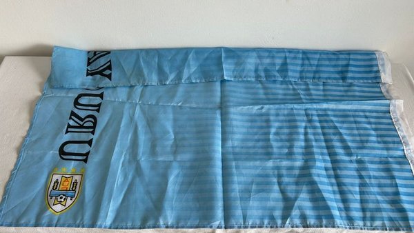 Bandera de Uruguay Celeste y Blanca con Escudo de la AUF