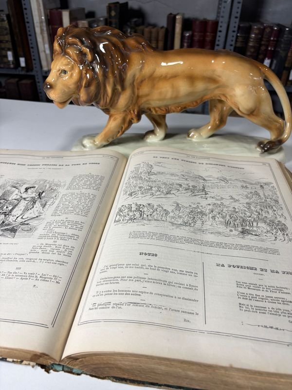 Libro de Jacques Offenbach - La Vida Parisina en 1867 - imagen 5