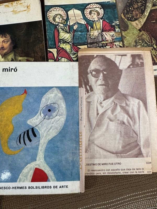 Libros y materiales de estudio en español - imagen 15