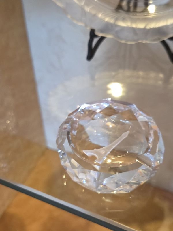4 Piezas en Cristal para Decoración - imagen 7