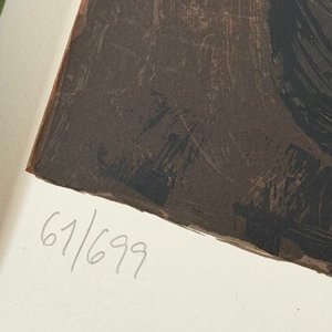 Serigrafía de Ignacio Iturria: Club Nacional de Fútbol, Edición Limitada 61/699 - imagen 6