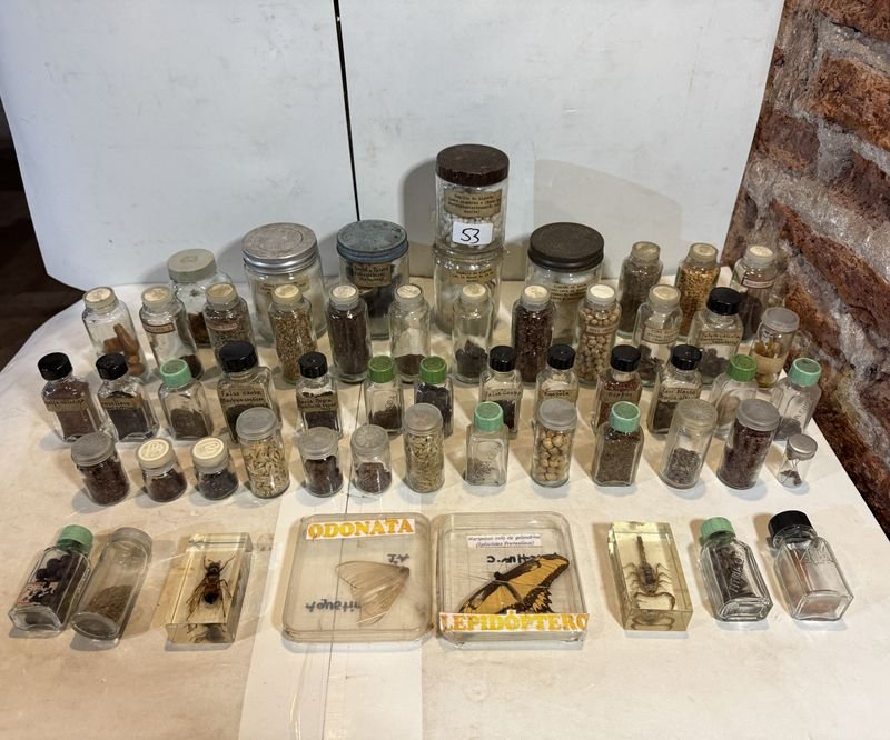 Item 851807 - Image 1