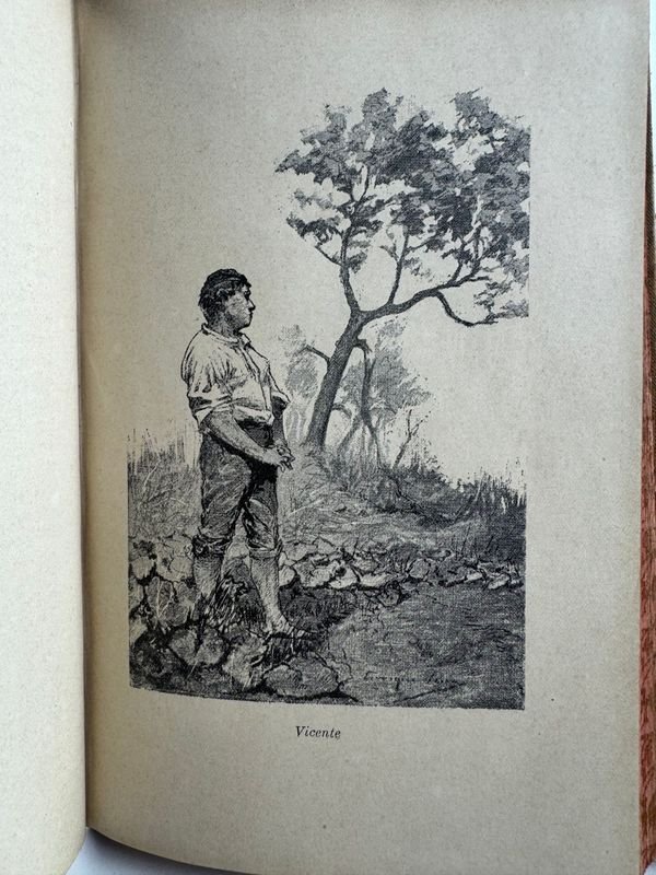 Libro de poesía provenzal de Federico Mistral - imagen 5