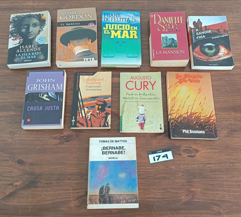 Lote de 10 Libros de Literatura Variada y Novelas