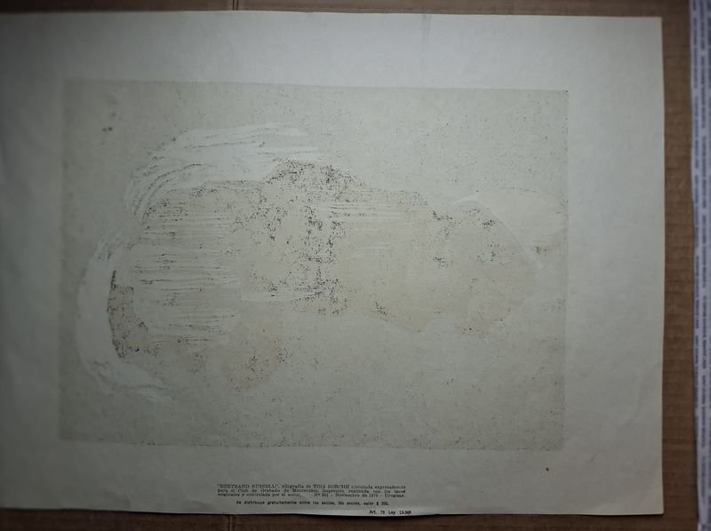 Item 859492 - Image 1