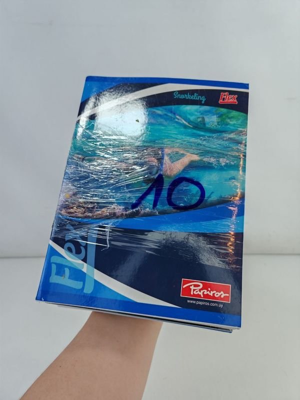 Lote siguiente: Cuadernos de notas en buen estado