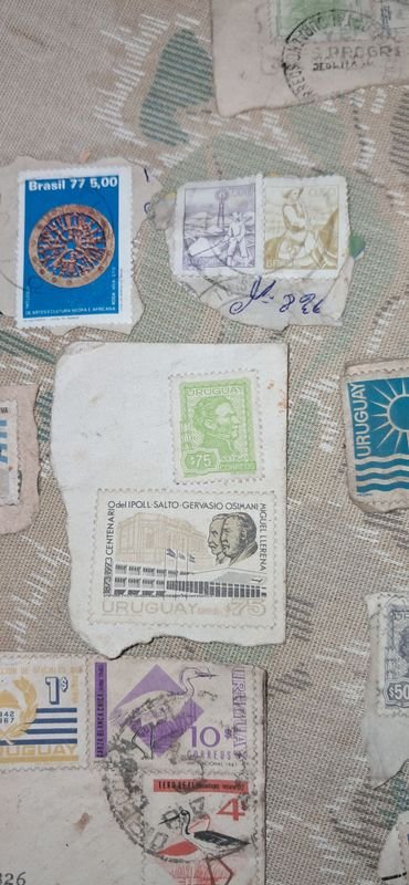 Item 880833 - Image 16