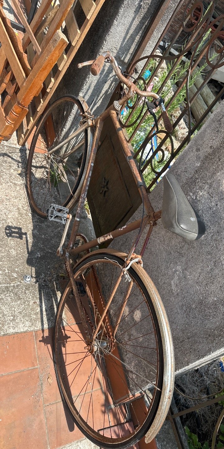 Item 62744 - Image 0