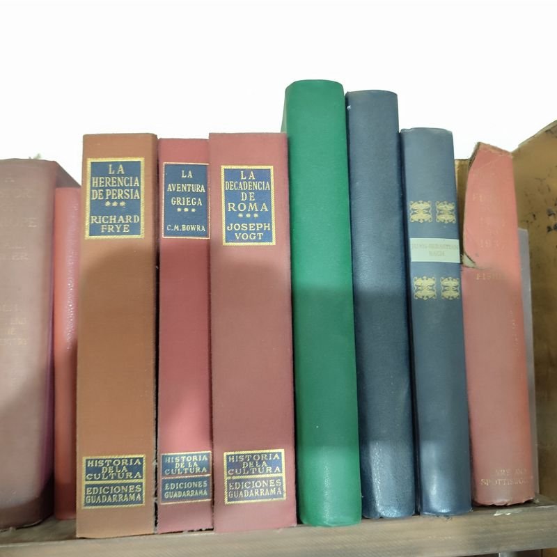 Item 880313 - Image 3