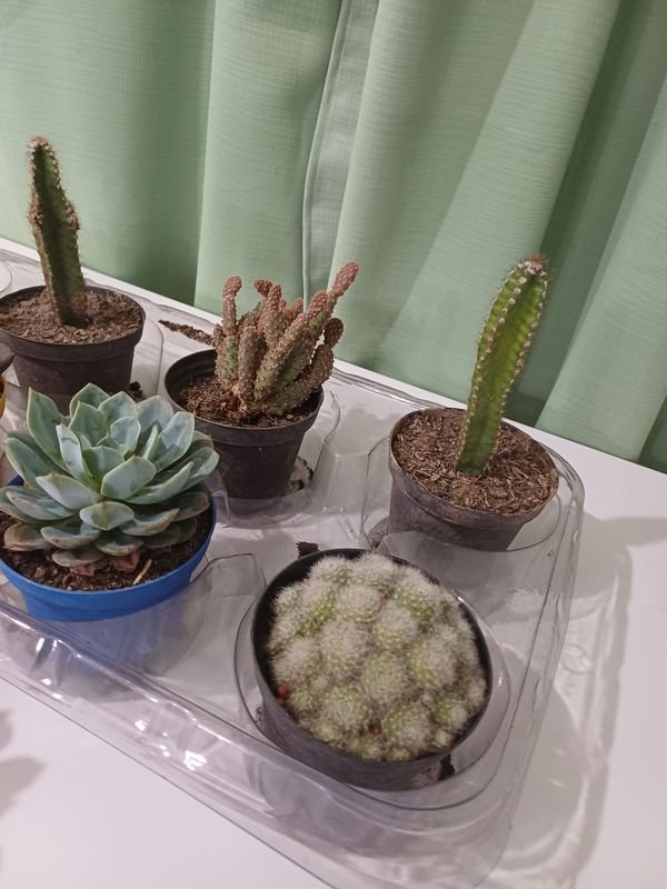 Item 848682 - Image 1