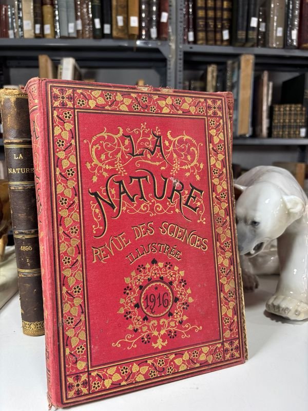 Item 879306 - Image 4