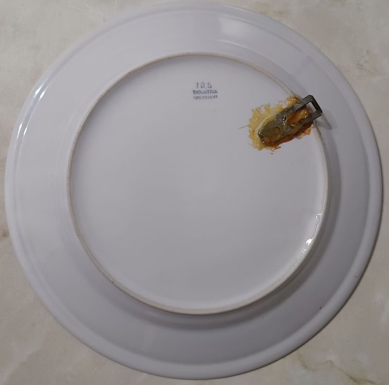 Plato de Loza Artístico Uruguayo - Gallo y Flores - imagen 3