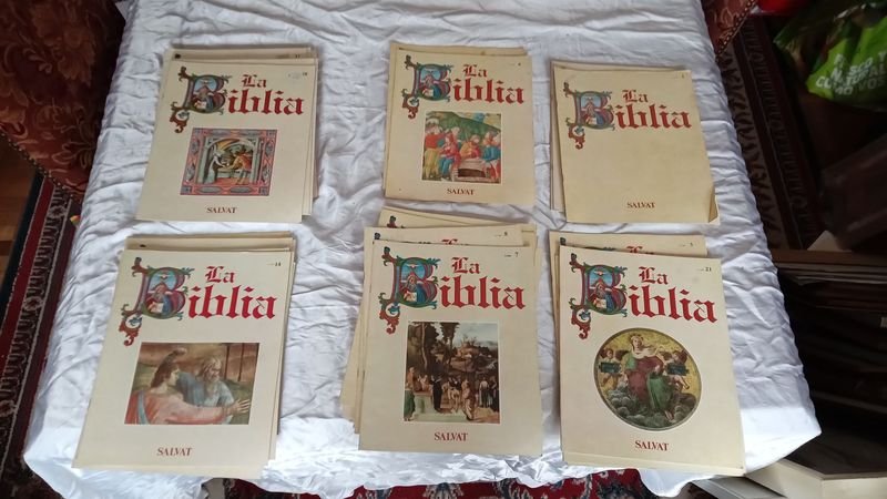 Item 891447 - Image 0