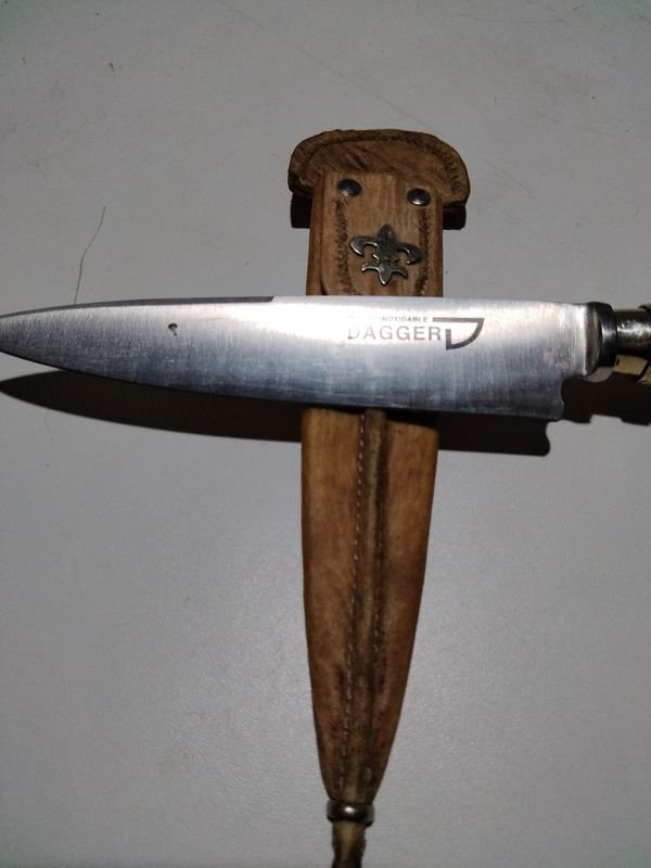 Item 845022 - Image 0