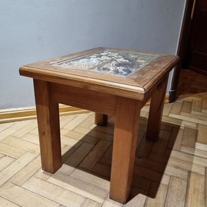 Mesa Ratona Original con Tapa Vitrina Decorativa de Elementos Naturales - imagen 5