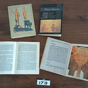 Conjunto de Libros: El Poder Charrúa, Túpac Amaru, Oficio Abierto, Paradigmas (3 tomos), Guías de India e Irak, Urbanidad y Buenas Maneras - imagen 3