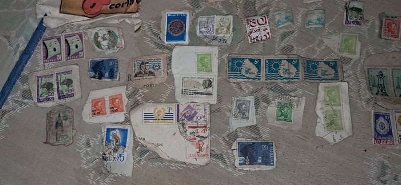 Item 880833 - Image 4