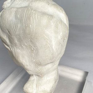 Busto de Mujer en Yeso sobre Base de Acrílico - imagen 3
