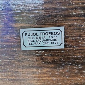 Trofeo Metálico con Asas de Dragón y Dos Medallas con Cintas - imagen 4