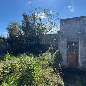 Casa a refaccionar en amplio terreno - imagen 26