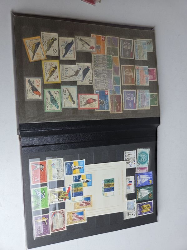 Item 872047 - Image 13