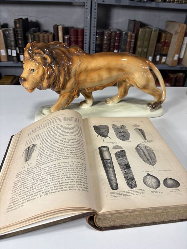 Libro de Historia de la Tierra en Alemán con Figuritas - imagen 4