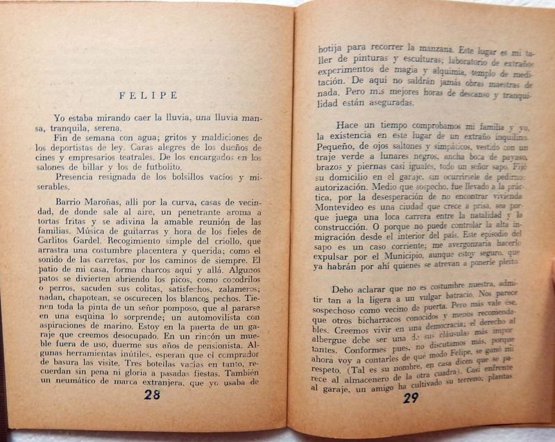 Libro sobre la historia política y cultural de Montevideo - imagen 5