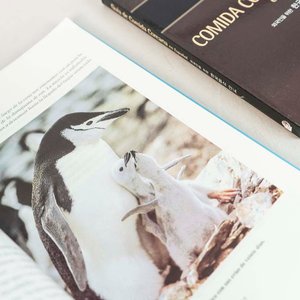 2 Libros: Guía de Comida Coreana y Uruguay en la Antártida - imagen 2