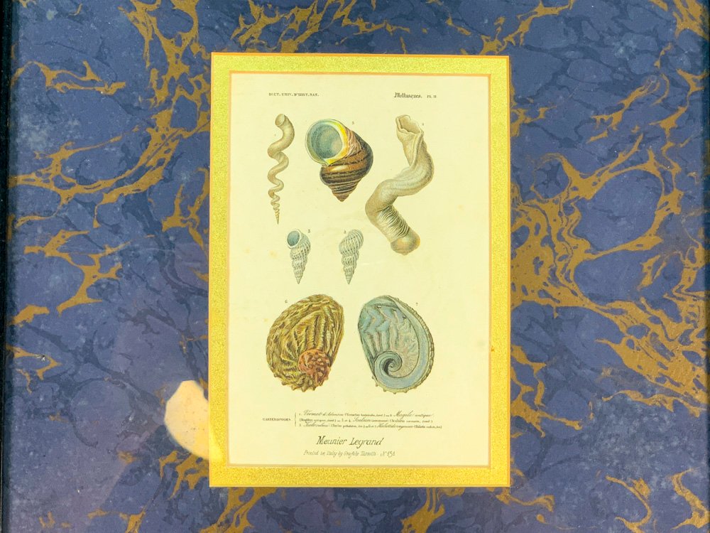 Item 494883 - Image 3