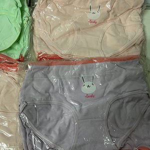 Lote de 20 Bombachas de Algodón para Niñas, Varios Diseños y Colores - imagen 8