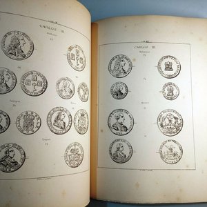 Libro "Monedas y Medallas Hispano-Americanas. Láminas" de José Toribio Medina (1891) - imagen 3