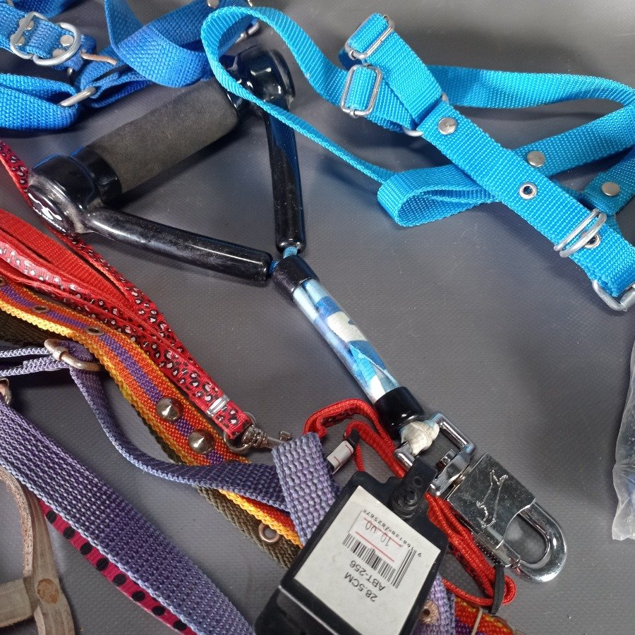 Correas y arneses para mascotas en diferentes tamaños y colores - imagen 3
