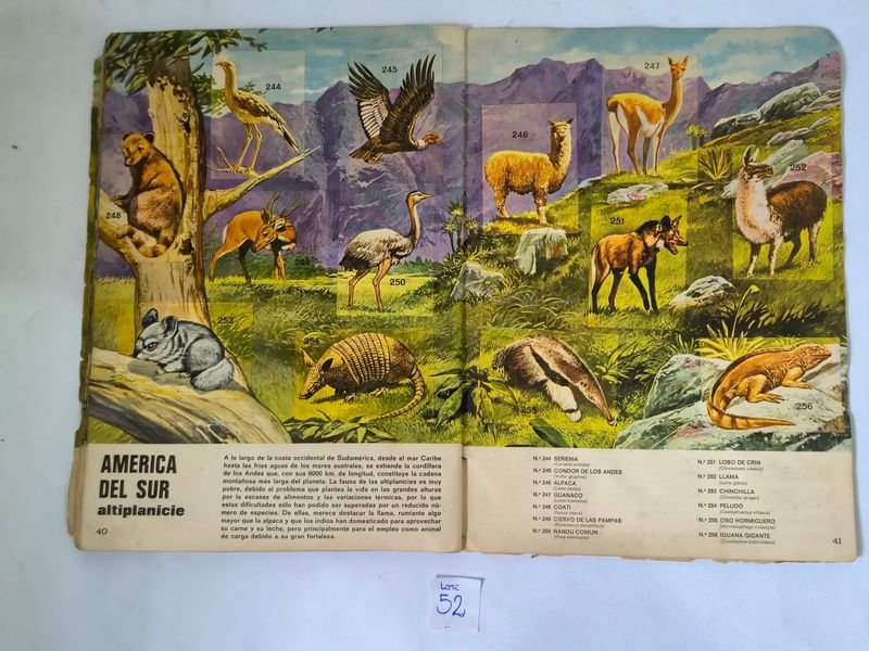 Item 844753 - Image 17