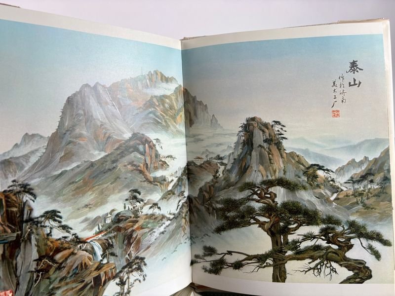Artes decorativas y artesanía tradicional china, edición ilustrada - imagen 8