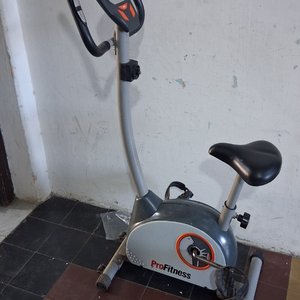 Lote anterior: Bicicleta fija 