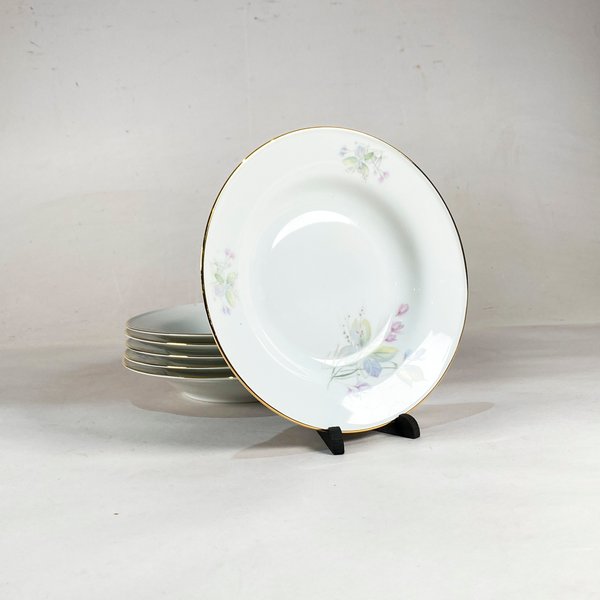 Seis Platos Hondos de Porcelana Bavaria Tirschenreuth con Flores y Borde Dorado - imagen 1