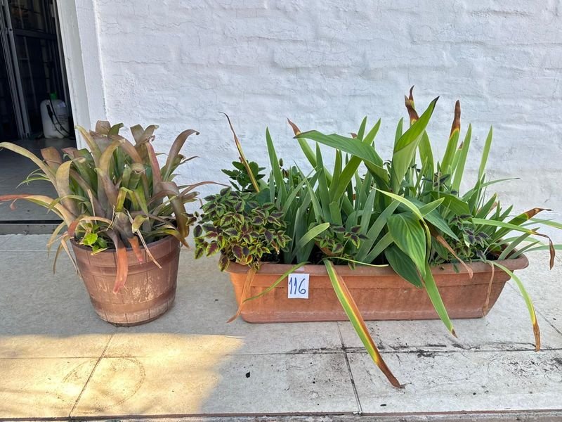 Item 892372 - Image 0