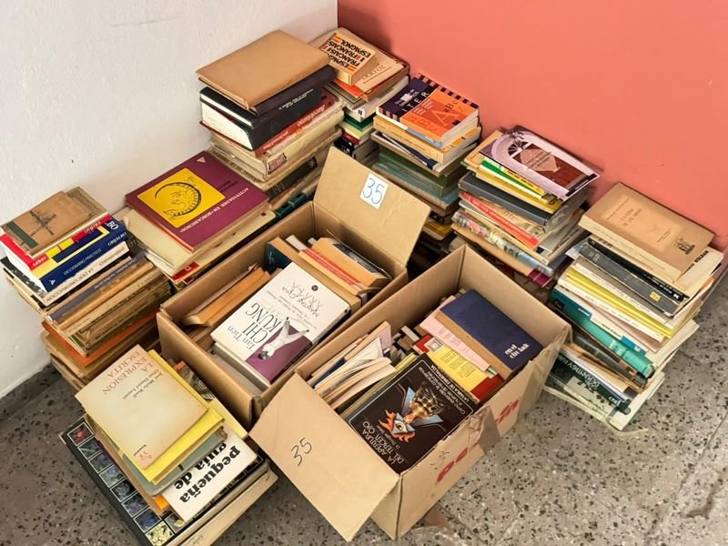 Lote de Libros Varios