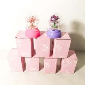 Lote siguiente: Set de 7 Adornos Decorativos con Luces LED y Flores Secas