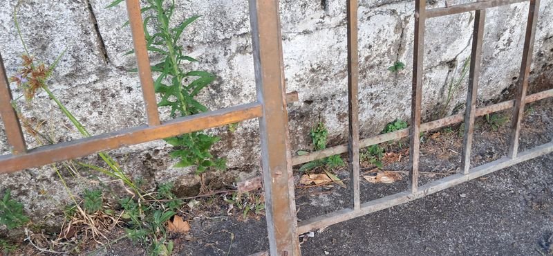 Item 881015 - Image 7