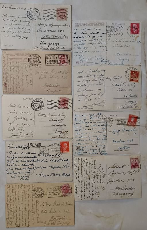 Item 864633 - Image 1