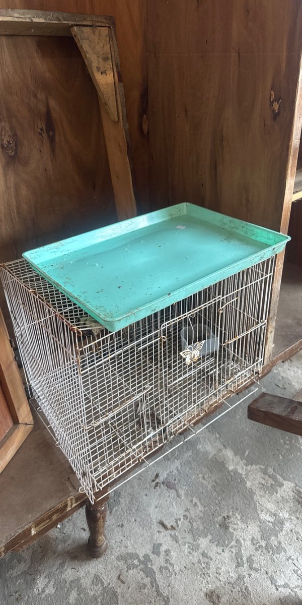 Jaula metálica para pájaros o mascotas pequeñas