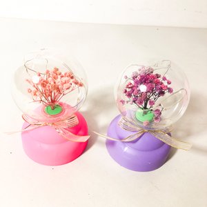 Set de 7 Adornos Decorativos con Luces LED y Flores Secas - imagen 3