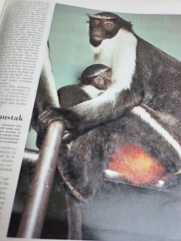 Cuatro enciclopedias de animales en buen estado - imagen 7