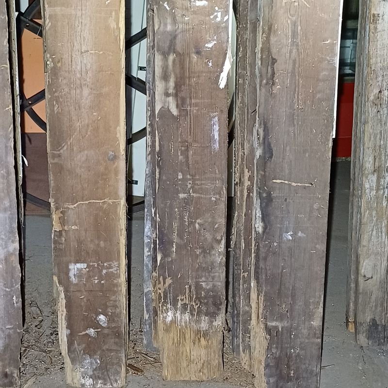 Seis tirantes de pinotea con rastros de polilla para decoración - imagen 4