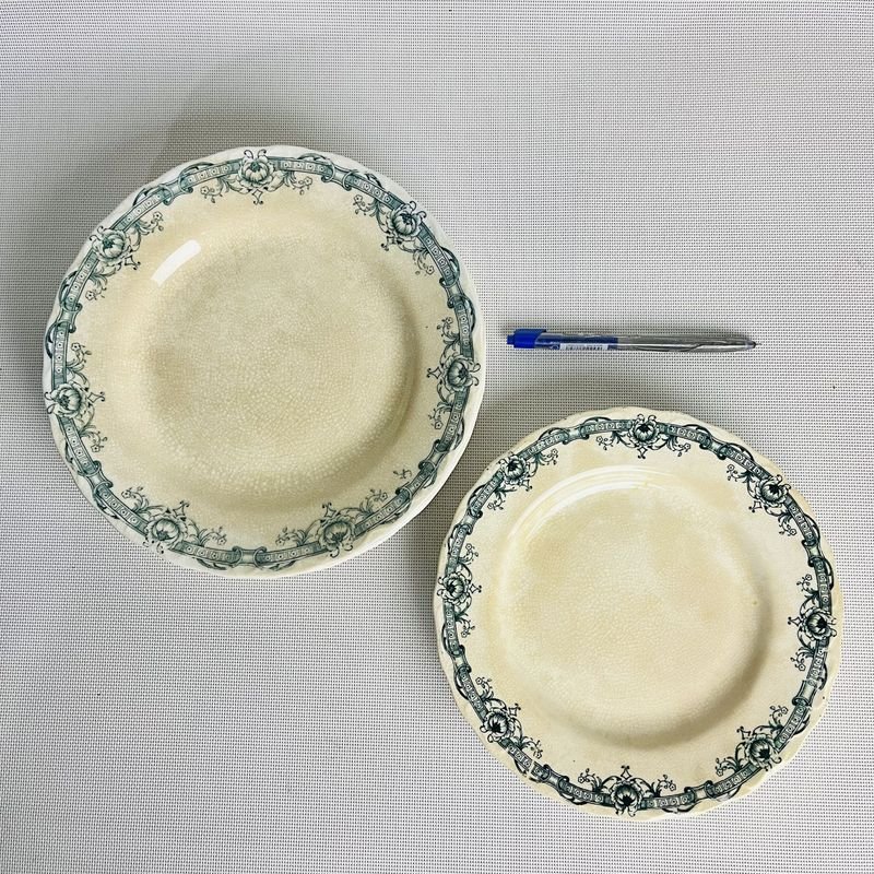Platos de porcelana inglesa antiguos Myott son - imagen 2