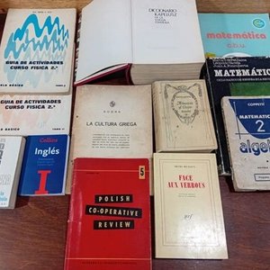 Lote de Libros de Estudio y Diccionarios en Varios Idiomas - imagen 1